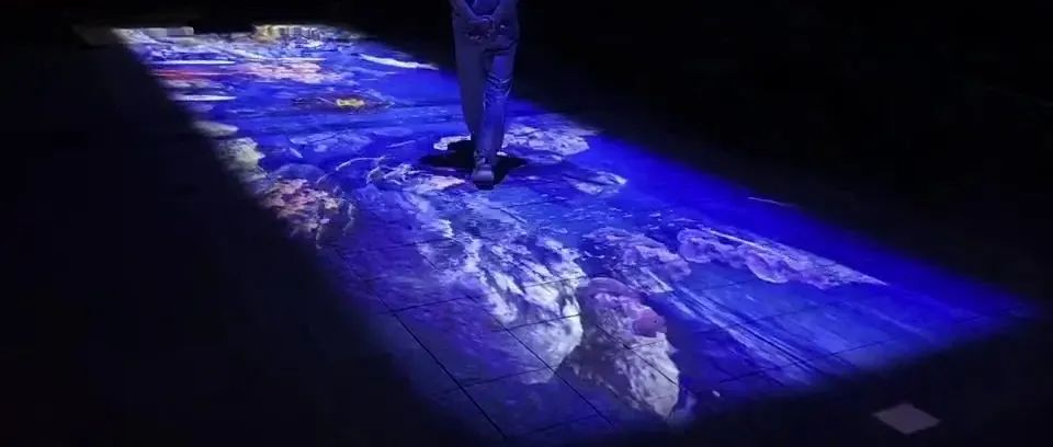 地面互动投影都需要哪些硬件设备，有哪些比较好的地面互动案例