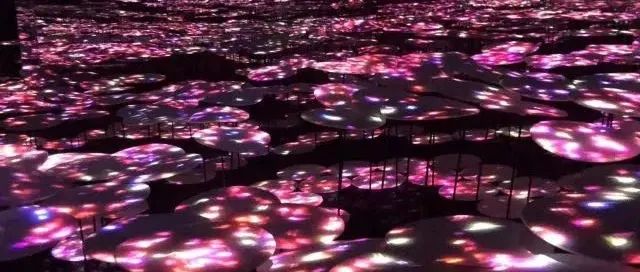 沉浸式展厅︱东京森大厦数字艺术馆teamLab Borderless Tokyo