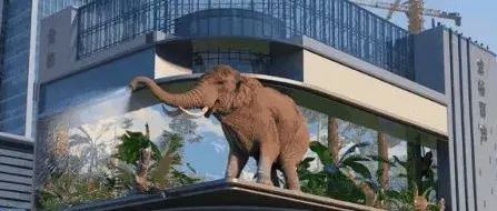 大象出现在昆明繁华街头，裸眼3D视频助力公益宣传”