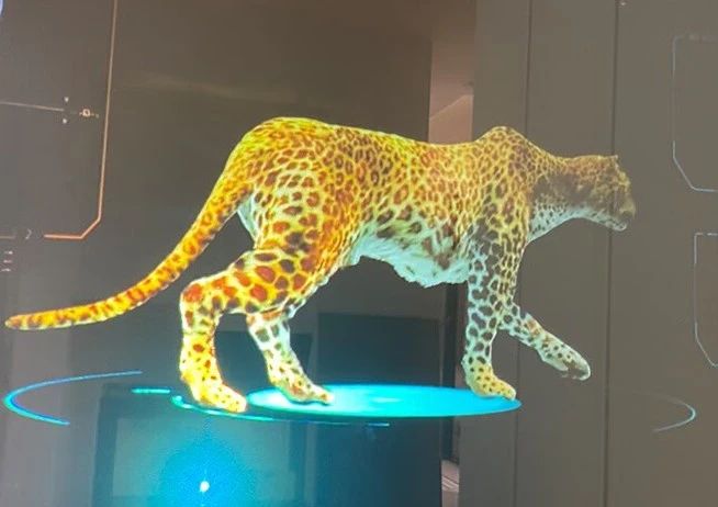 3D全息橱窗展示有哪些功能？全息橱窗投影效果怎么样